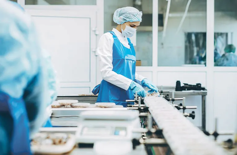 Movet Hygiene-Komponenten sensible Bereiche